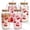 cherry-4, variant on Cherry-4 18oz Borosilicate Glass Tumblers with Lids and Straws Set of 4