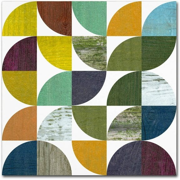 Trademark Fine Art "Rustic Rounds 1.0" Canvas Art by Michelle Calkins