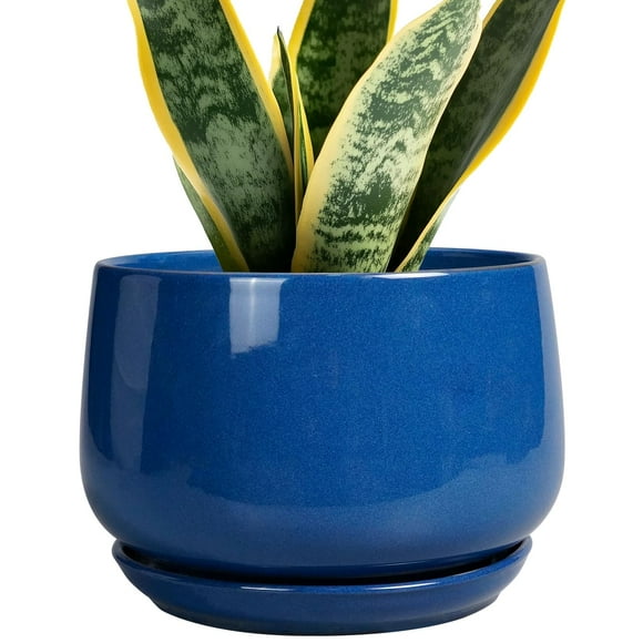 Maceta de cerámica G EPGardening de 7 pulgadas con drenaje azul