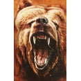 thumbnail image 2 of Orange 100% Cotton Grizzly Growl Realistic Graphic T-Shirt, 2 of 4