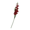 thumbnail image 1 of Artificial Flowers Gladioli Gladiolus Stem For Wedding Room  Multi Colors Available - red, 80cm, 1 of 8
