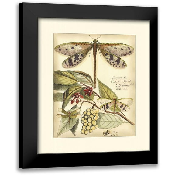 Vision Studio 12x14 Black Modern Framed Museum Art Print Titled - Whimsical Dragonflies I