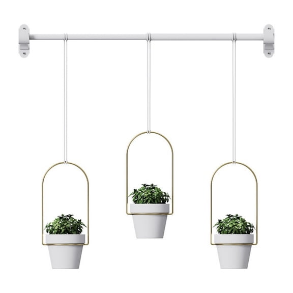 Indoor Plant Hanging Planter Adjustable Hanging Window Planter Garden Wall Plant Hanging Rod Gardening Accessories