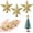 Gold, variant on Miaocao 3 Pcs Mini Christmas Tree Topper Small Star Christmas Treetop Ornaments for Mini Tree Holiday Decorative Star for Xmas Home Decor(2.36 Inch,Glitter Silver)