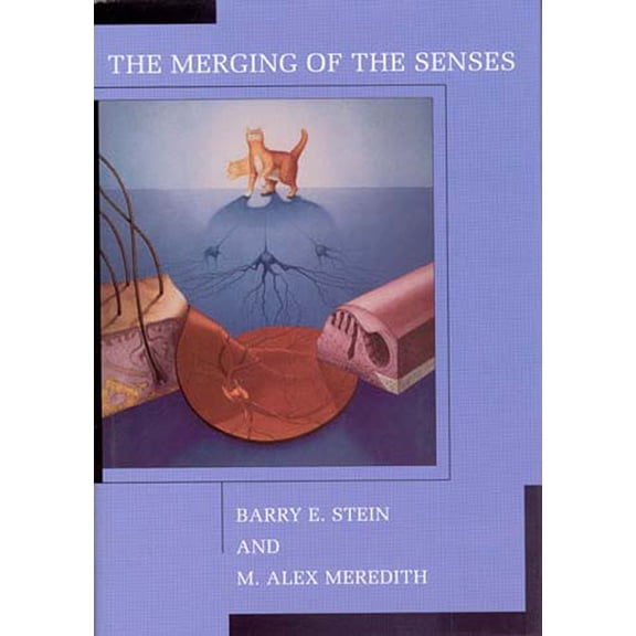 Cognitive Neuroscience The Merging of the Senses, (Paperback)