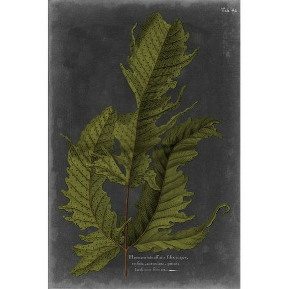 Marmont Hill "Foliage Dramatique I" Painting Print on Wrapped Canvas