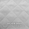 Silver Gray