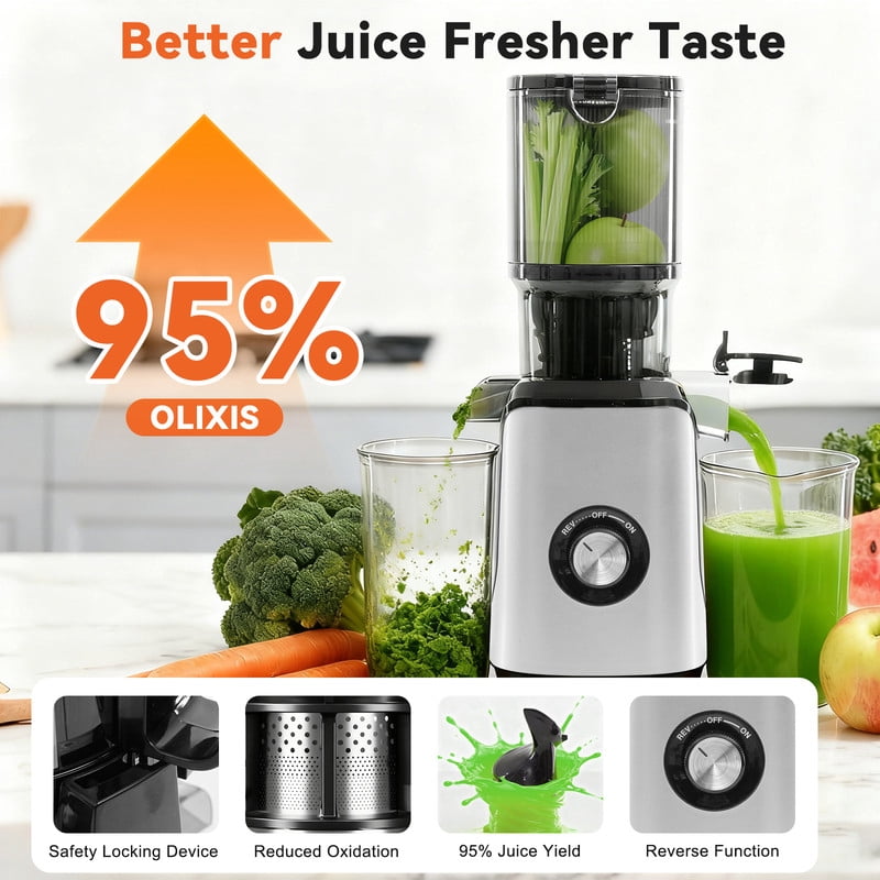 Gianna Cold Press Juicer, Masticating Juicer Machines with Wide Feed Chute, High Juice Yield and Easy to Clean for Whole Vegetables & Fruits, Silver