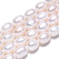 thumbnail image 4 of 2 strand Natural Cultured Freshwater Pearl Beads Strands Rice Seashell color 9.7~11.5x8.3~9mm Hole: 0.7~0.8mm 17~18pcs/strand 7.09 inch(18cm), 4 of 6