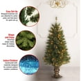 thumbnail image 4 of National Tree Company 4 Foot Atlanta Spruce Artificial Christmas Tree, 4 of 5