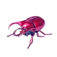 thumbnail image 2 of Funix Modèle d'Insecte en Mouvement – Combat d'Insectes à Remontoir, Jouet Interactif Amusant pour Enfants, Mouvement à Remontoir pour Jouer, 2 of 2