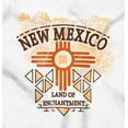 thumbnail image 2 of New Mexico Native Symbolism Zia Flag Plus Size Crewneck Graphic Tee Shirt Brisco Brands 2X, 2 of 5