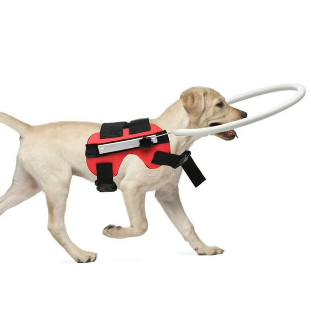 Blind Pet AntiCollision Rings Blind Dog Halo Adjustable Pet Anti Collision Circle Animal Safe Guide Dog Protective Harness Vest Rings For Blind Or Visually Impaired Pets Walmart