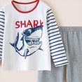 thumbnail image 4 of NOLDARES Toddler Pajamas Boys Pyjamas 2pcs Long Sleeves Pjs Sets for Kids Fall Winter Sleepwears 6-12 Months 12-24 Months 2t 3t 4t 5t 6t 7t 8t 9t Children,Grey,12-13 Y, 4 of 4