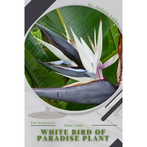White Bird of Paradise plant: Plant Guide (Paperback) by Andrey Lalko