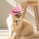 thumbnail image 4 of Sombrero de vaquero | Sombrero de vaquero para gatos Carnaval Halloween Fiesta western Juego de rol Fiesta para gatos, 4 of 5