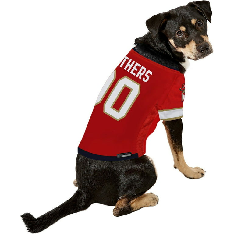 panthers jersey dog