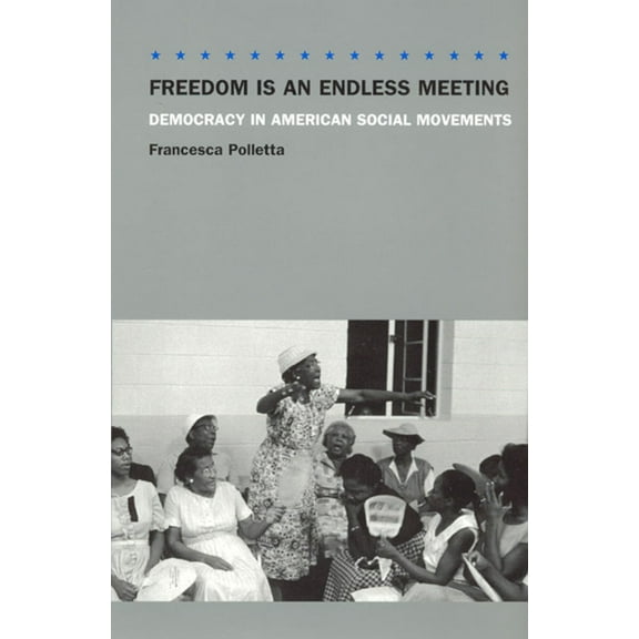 Freedom Is an Endless Meeting: Democracy in American Social Movements, (Paperback)