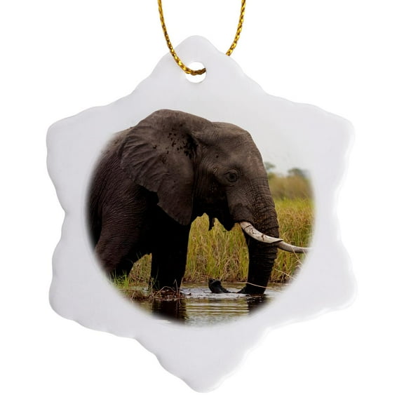 3drose, Botswana, Okavango Delta. Elephant - Af05 Kwi0007 - Kymri Wilt, 3 inch Snowflake Porcelain Ornament