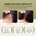 thumbnail image 3 of Aceite para el cabello Lebanta Batana Mezcla Orgánica 3 Pack 120 ml, 3 of 6