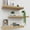 Light Ash, variant on Floating Shelves for Wall Set of 3, 16" Gray Wall Shelves for Home Decor, Frame Display Floating Shelf for Living Room, Bedroom, Bathroom, Kitchen