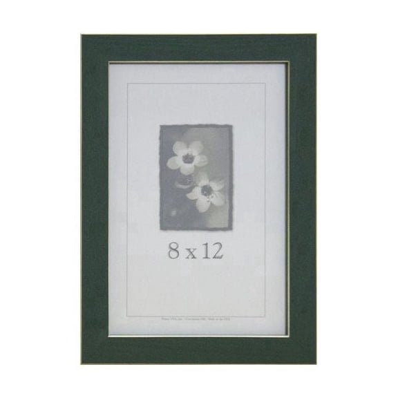 Frame USA Clean Cut Picture Frame (8-inches x 12-inches)