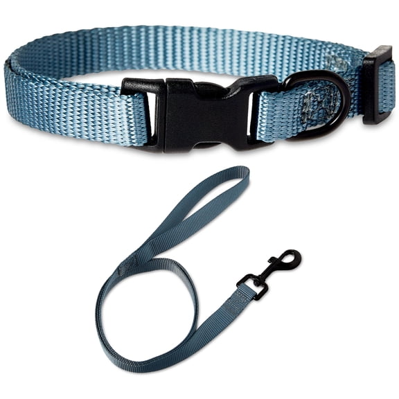 Vibrant Life Solid Polyester Adjustable Dog Collar, with 4ft Dog Leash, Gray, Small