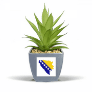 Bosnia and Herzegovina Map National Flag Fake Pineapple Flower Pot Vase Mini Decor