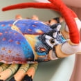 thumbnail image 5 of Stuffed Animals Clearance! Kabnic Lifelike Australian Lobster Plush Pillow Soft Lobster Crab Stuffed Toy Simulation Red Lobster Plushie Cuddly Sea Lobster Dolls Gifts, 23.6'', 5 of 5