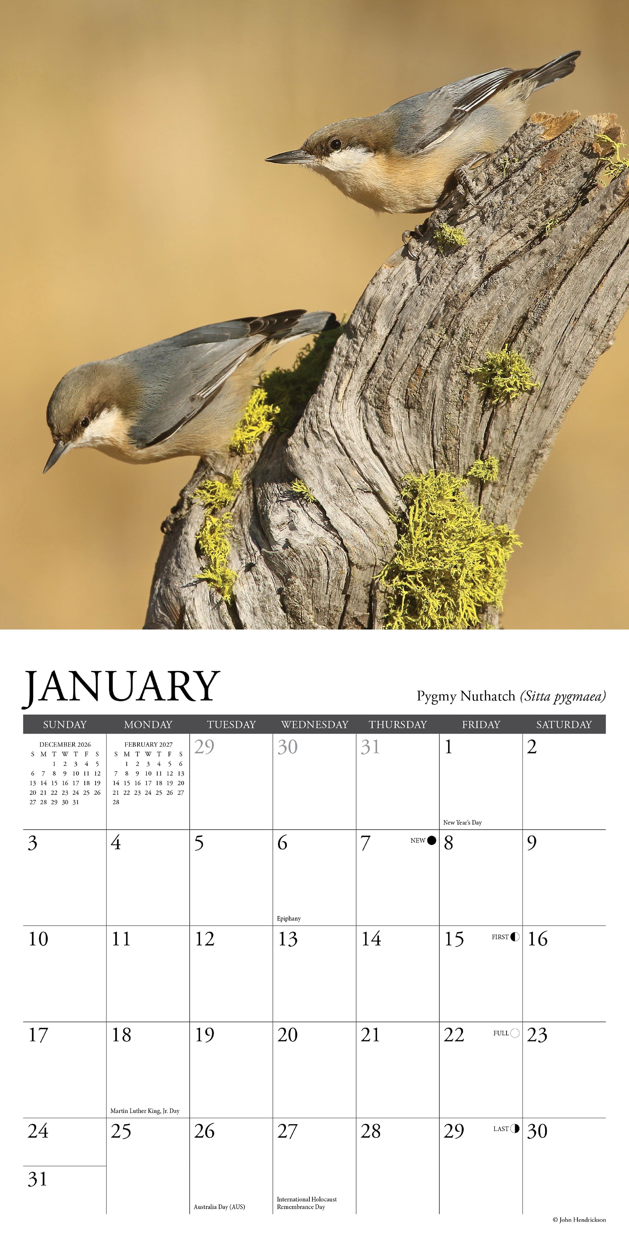 Willow Creek Press, Backyard Birds 2027 Mini Wall Calendar