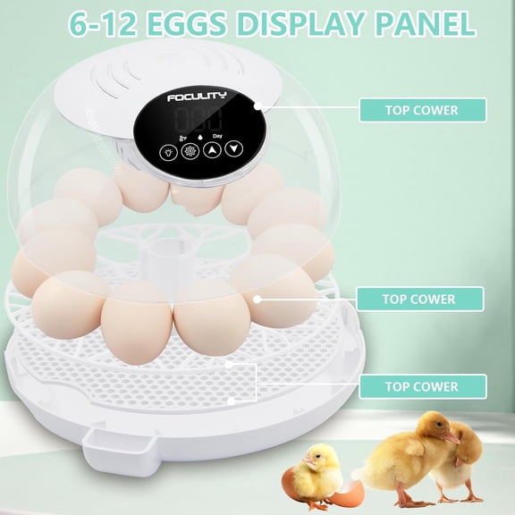 Automatic  Incubator for 12 Eggs with Humidity Display and Built-in  Candler