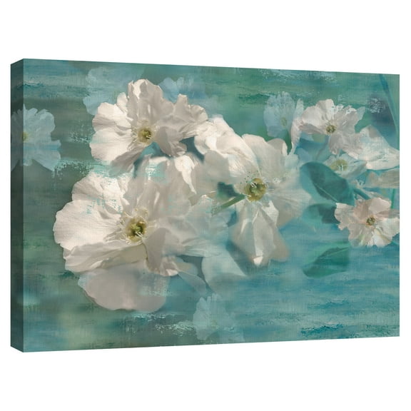 Wild Jasmine by Nan Canvas Art Print