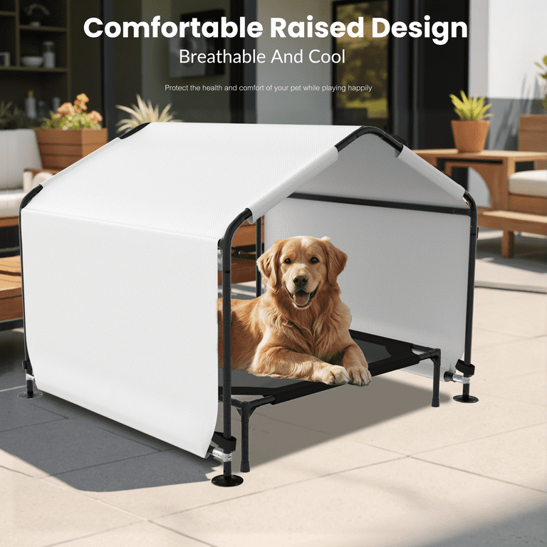 How to Protect Tent Floor from Dog Claws: Essential Tips