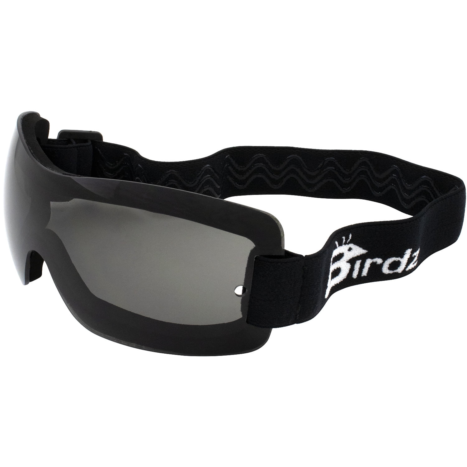 Birdz Wren Sport Skydiving Snowboarding Motorcycle Riding Goggles Smoke
