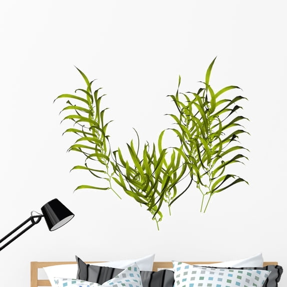 Kelp Wall Decal by Wallmonkeys Peel and Stick Graphic (48 in W x 42 in H) WM165432
