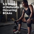thumbnail image 6 of Optimum Nutrition 100% Gold Standard Whey Smores 2lb, 6 of 6