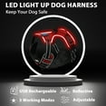 thumbnail image 3 of Light Up Dog Harness No Pull Adjustable LED Dog Vest for Night Walks USB Rechargeable for Small Medium Large Dogs - Large, Red, 3 of 6
