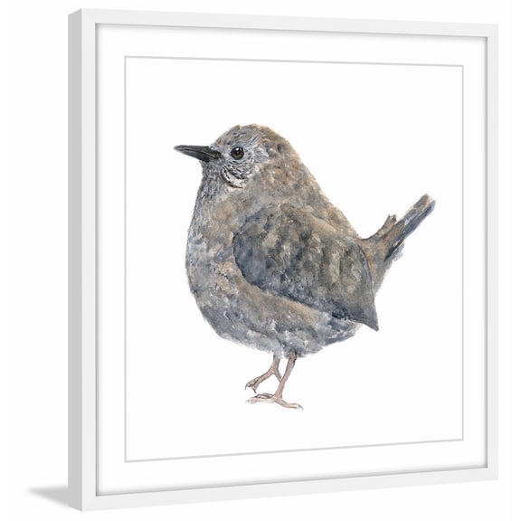 "Wren Bird" Framed Painting Print