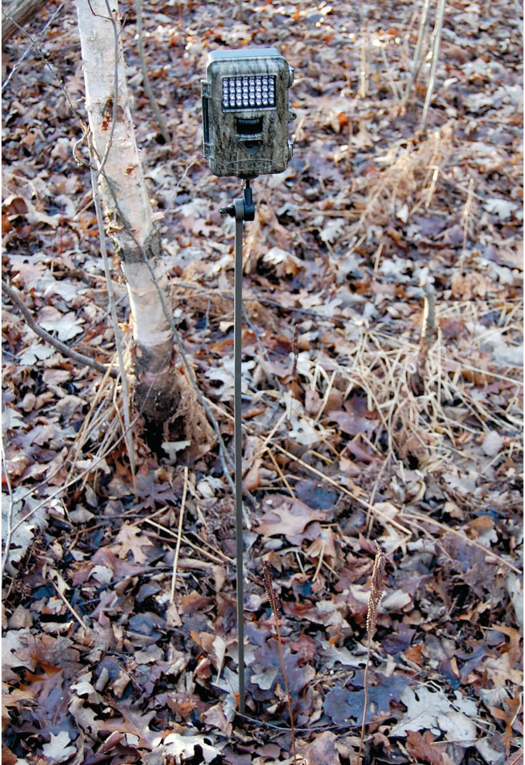 HME Products Trail Camera Holder Posts (4-Pack), Universal Mounts for Game Cams