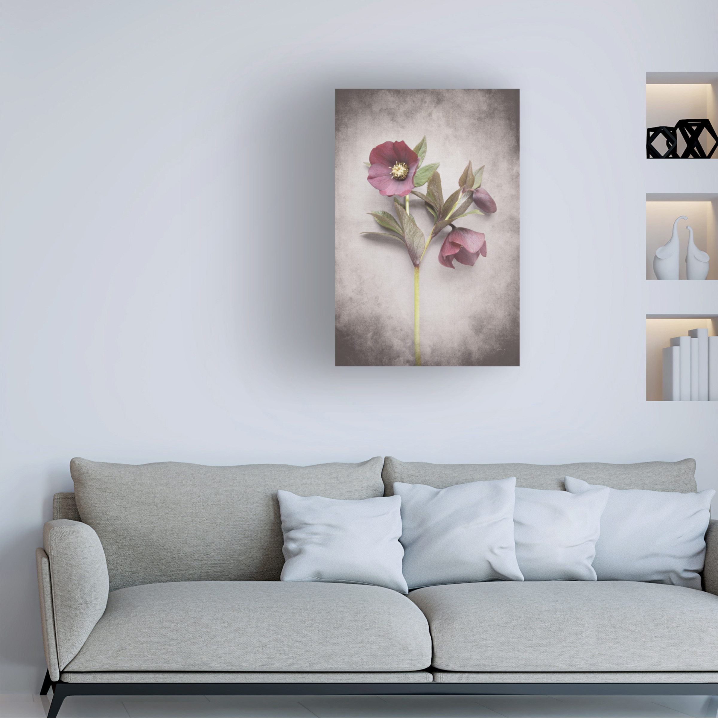 Trademark Fine Art 'Vintage Hellebore Study V' Canvas Art by Felicity Bradley