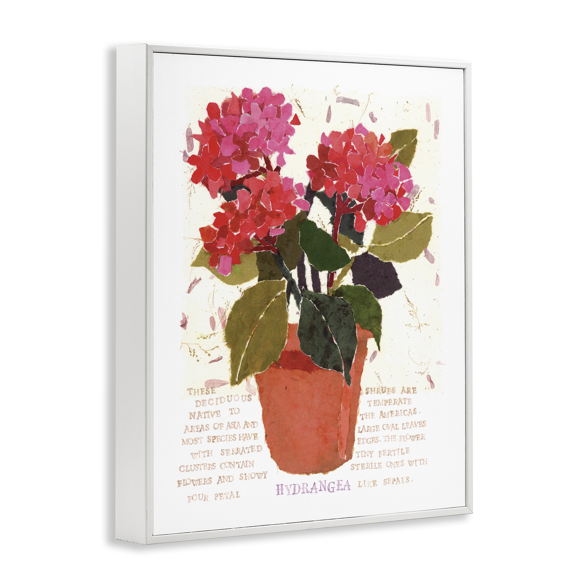 Stupell Industries Bold Red Hydrangea Botanical & Floral Painting White Framed Art Print Wall Art, 11 x 14