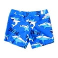 thumbnail image 2 of FASHOFT Boys Swim Trunk Hawaiian Style Swim Shorts Little Boys Bathing Suit Swimsuit Kids Swimwear A, 2 of 5