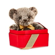 Valentine's Day 11" Dark Brown Chocolate Scented Bear Plush in Gift Box by Way To Celebrate