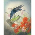 thumbnail image 2 of Quintero, Sonja 26x32 White Modern Wood Framed Museum Art Print Titled - Hummingbird Cycle II, 2 of 4