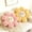 White and Pink, variant on HonorHut 2 Pack Flower Plush Pillow 17.7" Cute Smile Face Padded Mat Sunflower Shaped Seat Cushion Home Decor Bedroom Living Room Chair White and Yellow