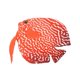 thumbnail image 3 of Fish Tank Ornament Aquarium Decoration Tropical Fake Fish Funny Artificial Luminous Fish 01#, 3 of 4
