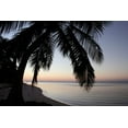 thumbnail image 2 of Anderson, Brent 14x11 Gold Ornate Wood Framed with Double Matting Museum Art Print Titled - Palm Tree Sunset, 2 of 4
