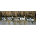 thumbnail image 4 of Higdon Outdoors Standard Leurres de Canard à Queue de Pie, Remplis de Mousse, 4 of 4