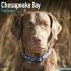 Chesapeake Bay Ret Calendar 2018 - Dog Breed Calendar - Wall Calendar 2017-2018