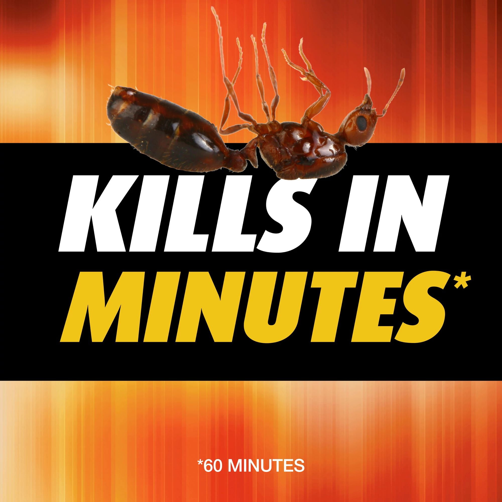 (2 pack) Ortho Orthene Fire Ant Killer1, Kills Queen, Destroys up to 162 Mounds, 12 oz.